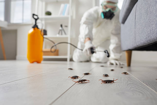 Commercial Kitchen Cockroach Control in Yanceyville